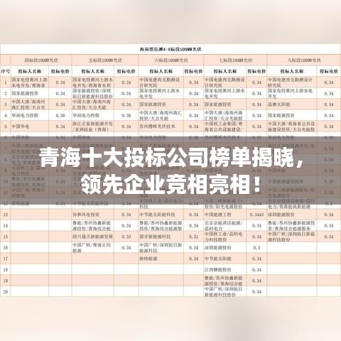 青海十大投標(biāo)公司榜單揭曉，領(lǐng)先企業(yè)競(jìng)相亮相！