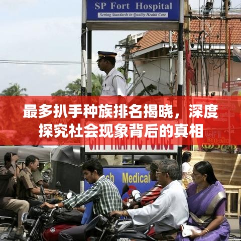 最多扒手種族排名揭曉，深度探究社會(huì)現(xiàn)象背后的真相