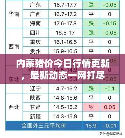 內(nèi)蒙豬價今日行情更新，最新動態(tài)一網(wǎng)打盡