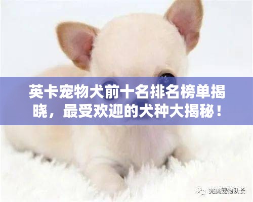 嬌小玲瓏