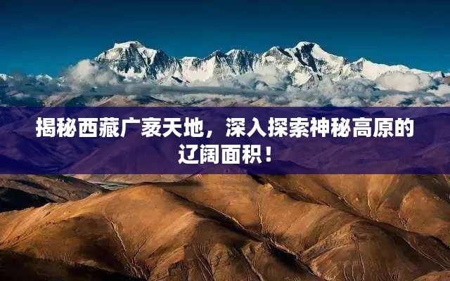 揭秘西藏廣袤天地，深入探索神秘高原的遼闊面積！