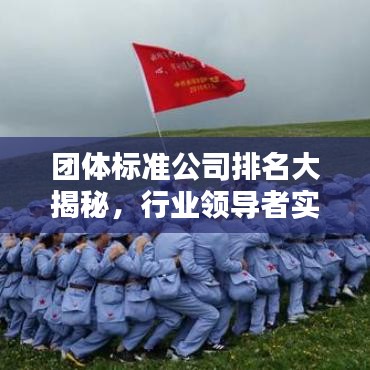 團(tuán)體標(biāo)準(zhǔn)公司排名大揭秘，行業(yè)領(lǐng)導(dǎo)者實(shí)力榜