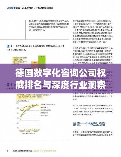 德國(guó)數(shù)字化咨詢(xún)公司權(quán)威排名與深度行業(yè)洞察揭秘
