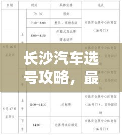 長(zhǎng)沙汽車(chē)選號(hào)攻略，最新指南助你輕松選號(hào)！