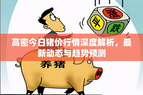 高密今日豬價(jià)行情深度解析，最新動(dòng)態(tài)與趨勢(shì)預(yù)測(cè)