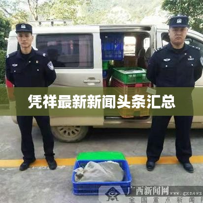 憑祥最新新聞頭條匯總