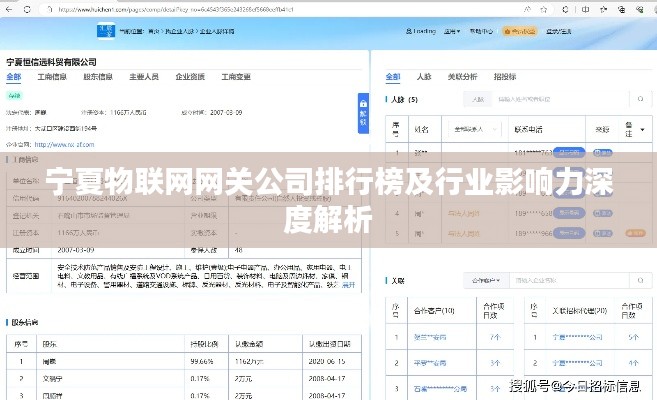 寧夏物聯(lián)網(wǎng)網(wǎng)關(guān)公司排行榜及行業(yè)影響力深度解析