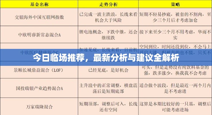 今日臨場(chǎng)推薦，最新分析與建議全解析