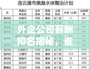 外企公司薪酬排名揭秘，誰(shuí)坐薪酬之巔？