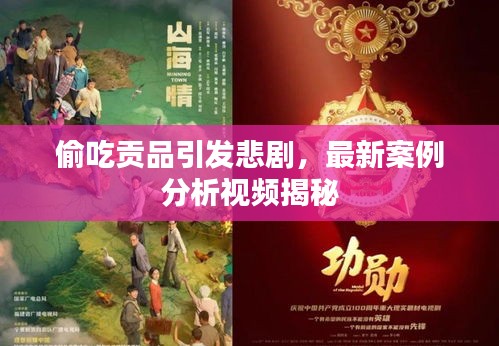 偷吃貢品引發(fā)悲劇，最新案例分析視頻揭秘