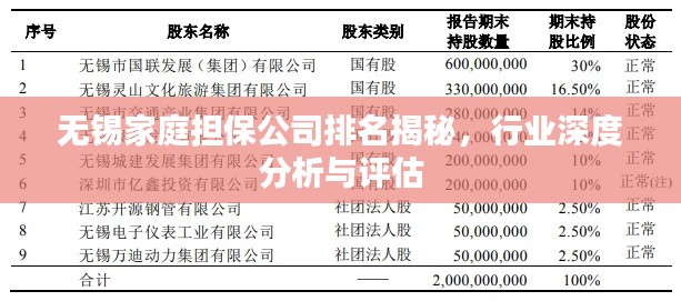 無錫家庭擔保公司排名揭秘，行業(yè)深度分析與評估