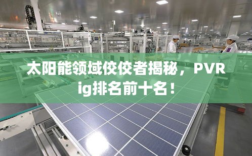太陽能領(lǐng)域佼佼者揭秘，PVRig排名前十名！