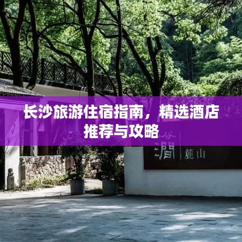 都中紙貴