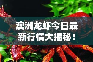 指手畫腳