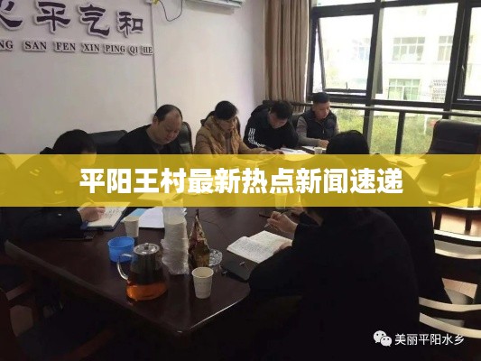 平陽王村最新熱點(diǎn)新聞速遞