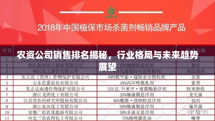 農(nóng)資公司銷售排名揭秘，行業(yè)格局與未來趨勢展望