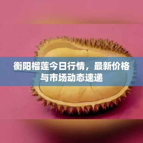 衡陽榴蓮今日行情，最新價格與市場動態(tài)速遞
