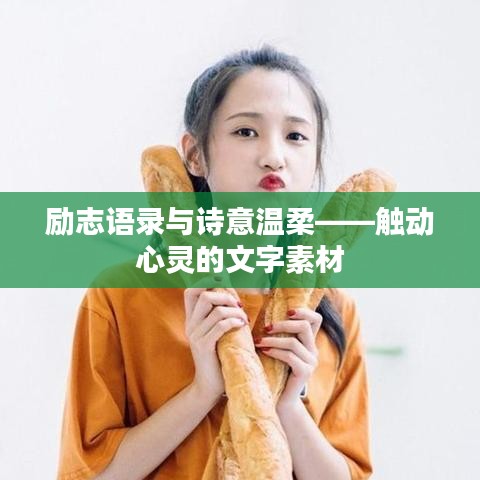 勵志語錄與詩意溫柔——觸動心靈的文字素材