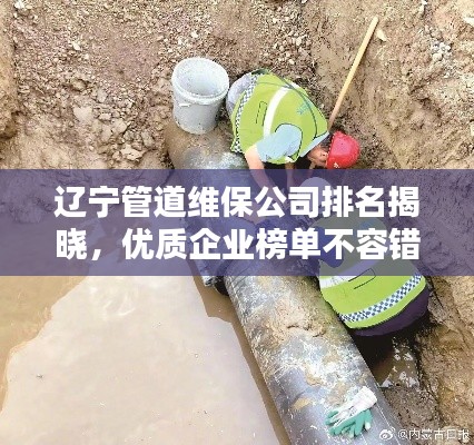 遼寧管道維保公司排名揭曉，優(yōu)質(zhì)企業(yè)榜單不容錯過！