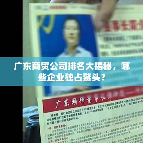 廣東商貿(mào)公司排名大揭秘，哪些企業(yè)獨占鰲頭？