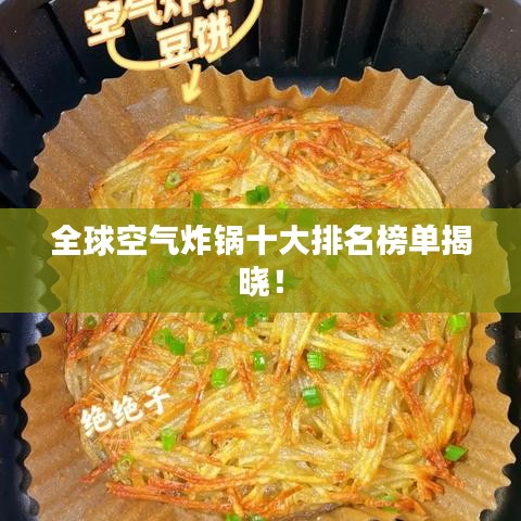 全球空氣炸鍋十大排名榜單揭曉！