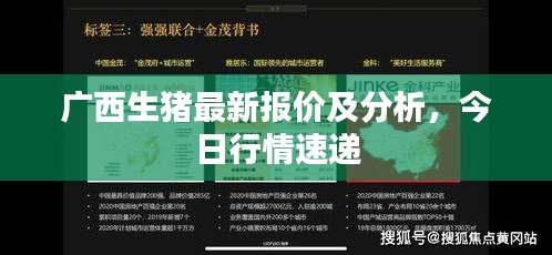 廣西生豬最新報價及分析，今日行情速遞