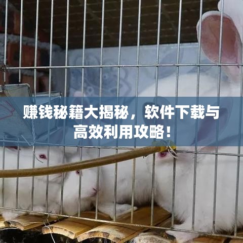 賺錢秘籍大揭秘，軟件下載與高效利用攻略！