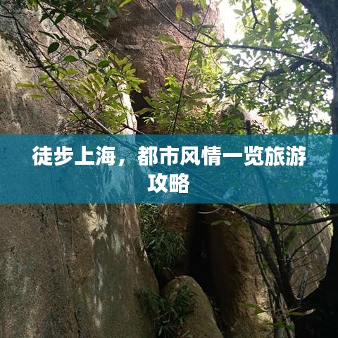 徒步上海，都市風(fēng)情一覽旅游攻略