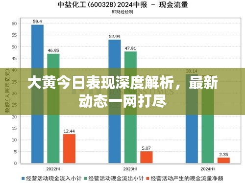 大黃今日表現(xiàn)深度解析，最新動(dòng)態(tài)一網(wǎng)打盡