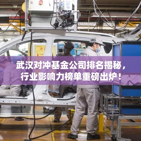 武漢對沖基金公司排名揭秘，行業(yè)影響力榜單重磅出爐！
