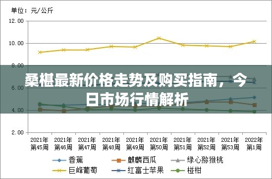 桑椹最新價格走勢及購買指南，今日市場行情解析
