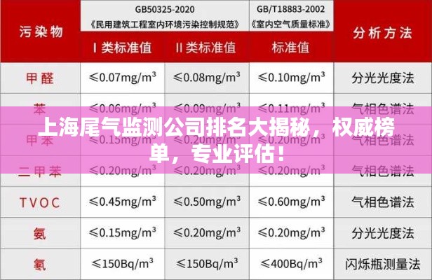 上海尾氣監(jiān)測公司排名大揭秘，權威榜單，專業(yè)評估！