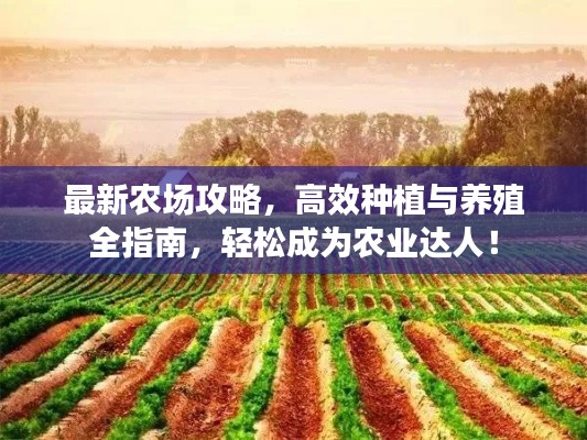 最新農(nóng)場攻略，高效種植與養(yǎng)殖全指南，輕松成為農(nóng)業(yè)達人！