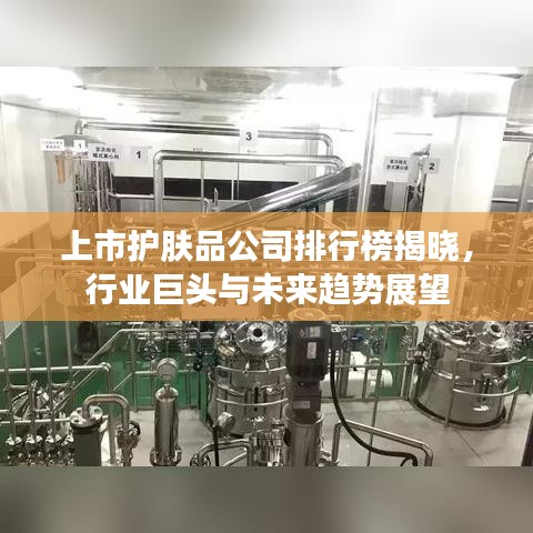 上市護(hù)膚品公司排行榜揭曉，行業(yè)巨頭與未來(lái)趨勢(shì)展望