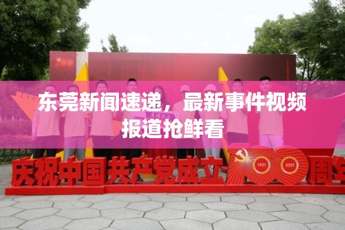 東莞新聞速遞，最新事件視頻報(bào)道搶鮮看