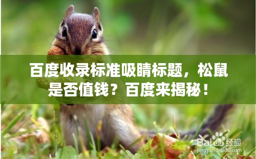 百度收錄標(biāo)準(zhǔn)吸睛標(biāo)題，松鼠是否值錢？百度來揭秘！