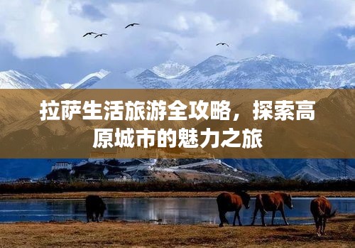 拉薩生活旅游全攻略，探索高原城市的魅力之旅