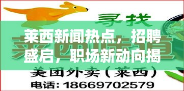 萊西新聞熱點，招聘盛啟，職場新動向揭秘