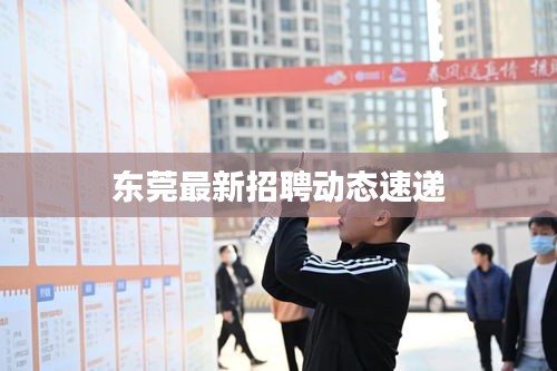 東莞最新招聘動態(tài)速遞
