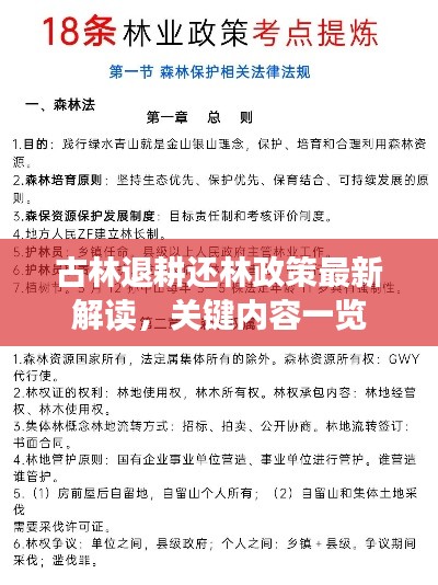 古林退耕還林政策最新解讀，關(guān)鍵內(nèi)容一覽