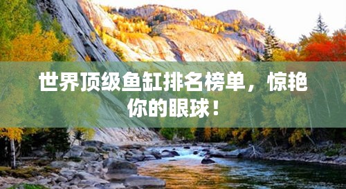 世界頂級魚缸排名榜單，驚艷你的眼球！