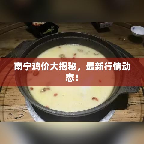 南寧雞價(jià)大揭秘，最新行情動態(tài)！