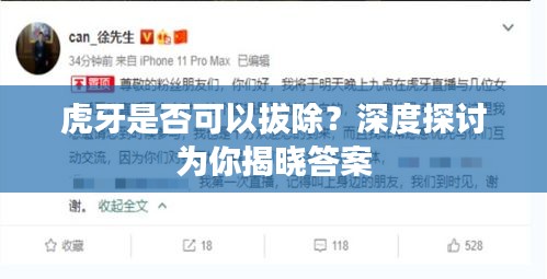虎牙是否可以拔除？深度探討為你揭曉答案