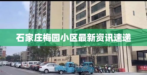 石家莊梅園小區(qū)最新資訊速遞