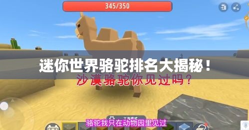 迷你世界駱駝排名大揭秘！