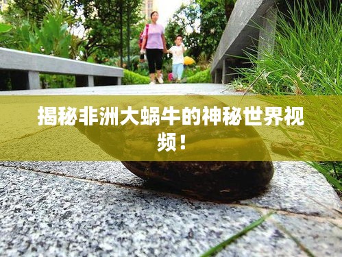 揭秘非洲大蝸牛的神秘世界視頻！