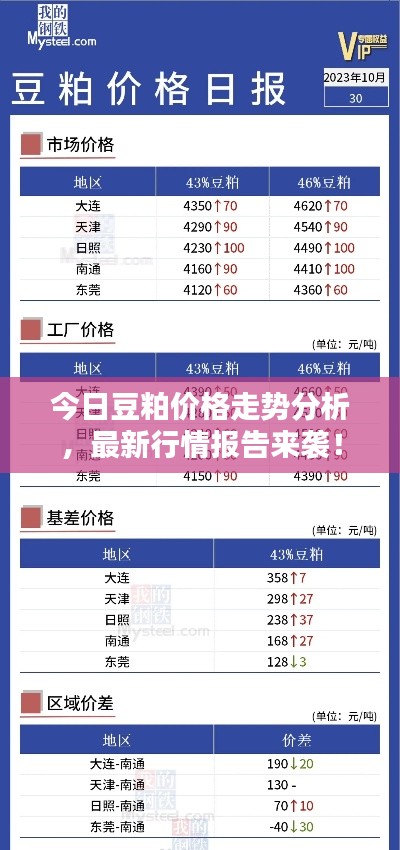 今日豆粕價(jià)格走勢(shì)分析，最新行情報(bào)告來(lái)襲！
