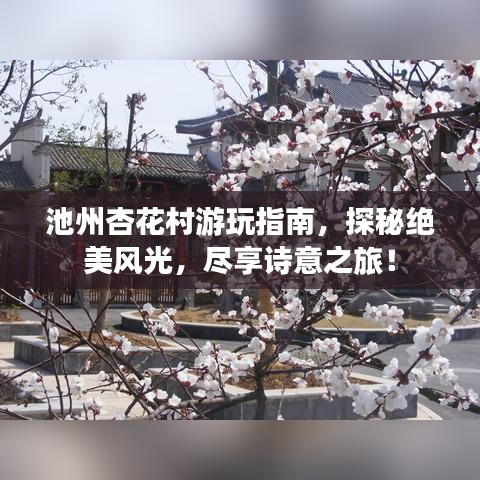 池州杏花村游玩指南，探秘絕美風(fēng)光，盡享詩意之旅！