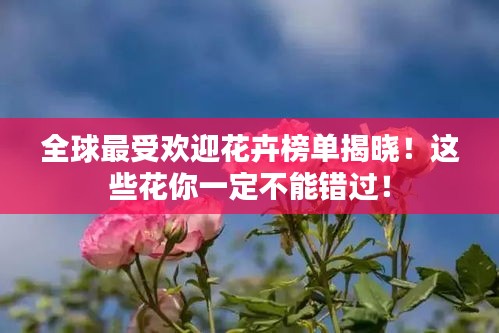 全球最受歡迎花卉榜單揭曉！這些花你一定不能錯過！
