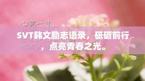 SVT韓文勵(lì)志語(yǔ)錄，砥礪前行，點(diǎn)亮青春之光。